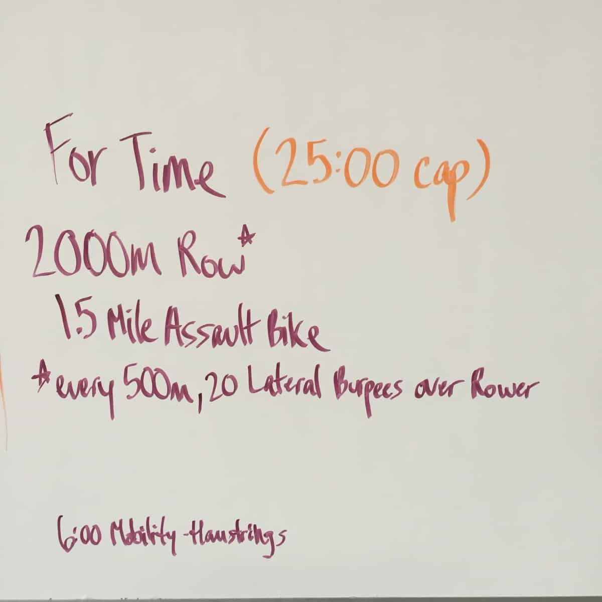 Assault bike burpee wod sale