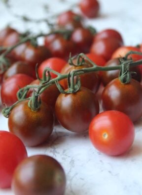 Tomatoes