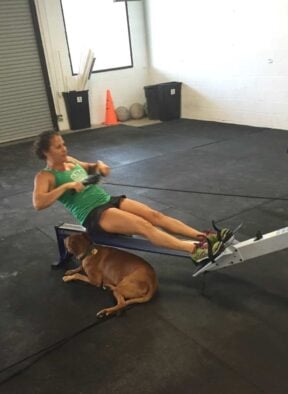 Weekly Workouts
