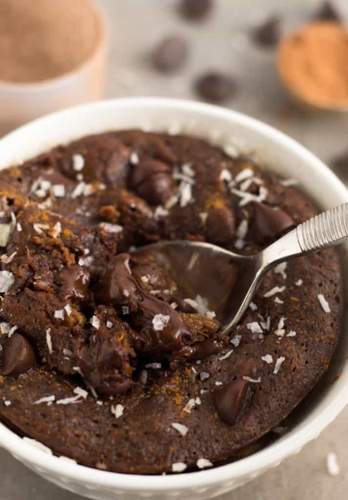 Paleo Healthy Chocolate Protein Mug Cake Eat the Gains