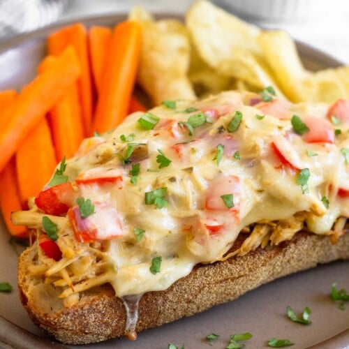 Chicken salad melt garnished with cilantro on a brown plate with sliced carrots and potato chips. Behind the plate is a striped kitchen towel and a bowl of cilantro.