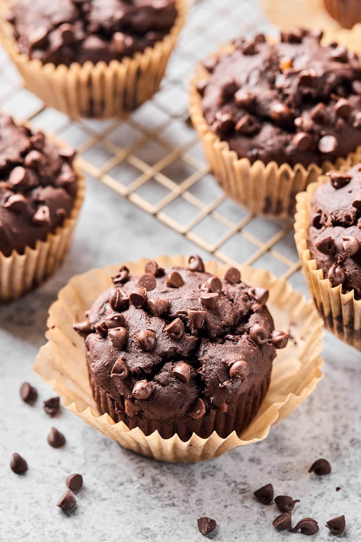 Chocolate protein muffin with some mini chocolate chips around it. Behind it is a cooling rack of more muffins.
