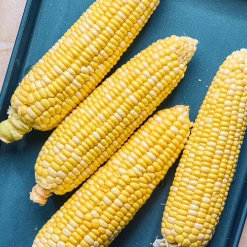 Four husked ears of corn on the cob on a blue baking sheet.