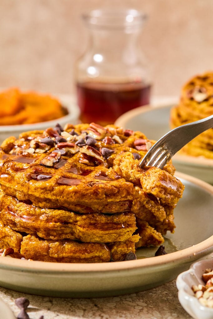 Pumpkin spice waffles stacked on a plate with a section cut out of them on a fork. They are topped with chocolate chips, chopped pecans, and maple syrup. Around the plate is a bowl of chopped pecans, some chocolate chips, a bowl of pumpkin puree, a pitcher of maple syrup, and a plate with another stack of waffles.